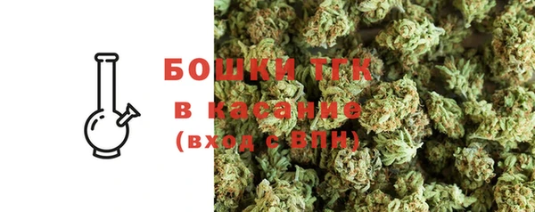 ешки Гусев