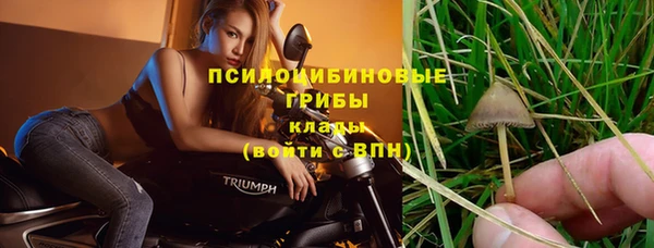 ешки Гусев