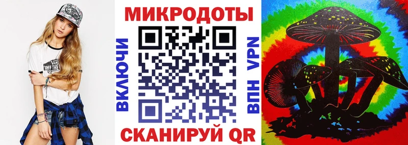 Псилоцибиновые грибы мицелий  блэк спрут как зайти  Дигора 